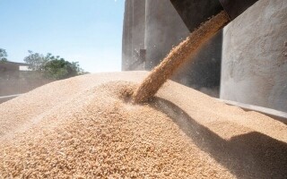 Amenaza de guerra en Irán amenaza la seguridad alimentaria mundial